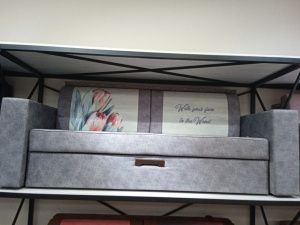 IMG_20221205_091923