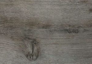 major-oak-53967-16407-88431