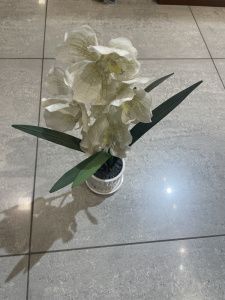 v8_5458_23